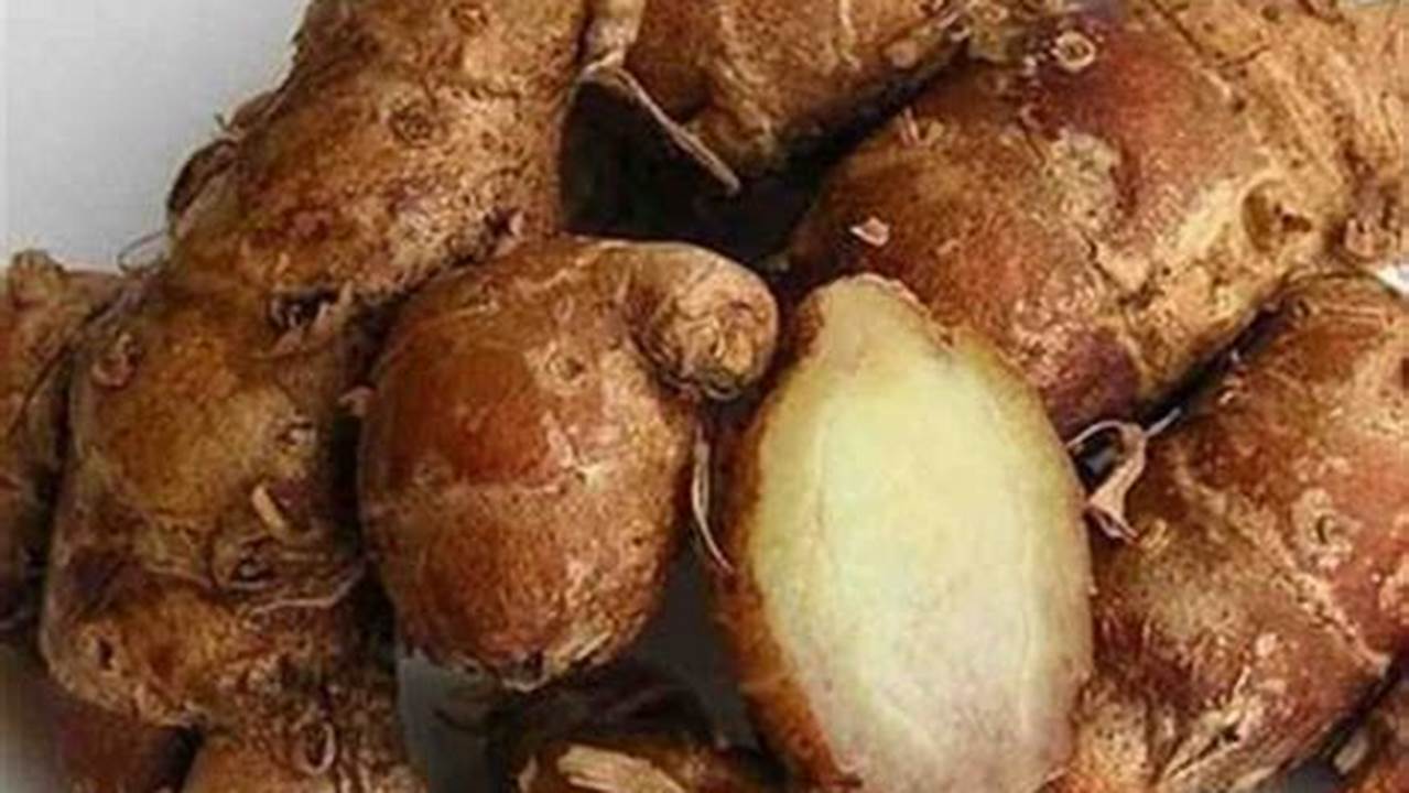 Terungkap Khasiat Daun Kencur yang Jarang Diketahui